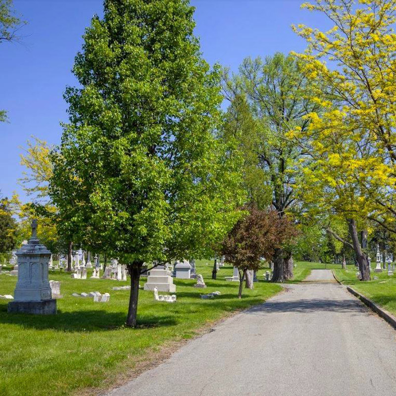 driving path through CCCS cemetery